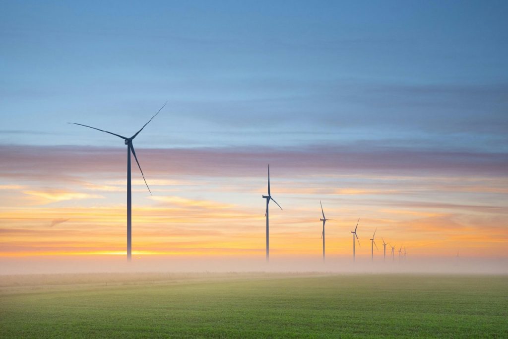 Vivere green si può: le scelte quotidiane che trasformano davvero l’ambiente e la società