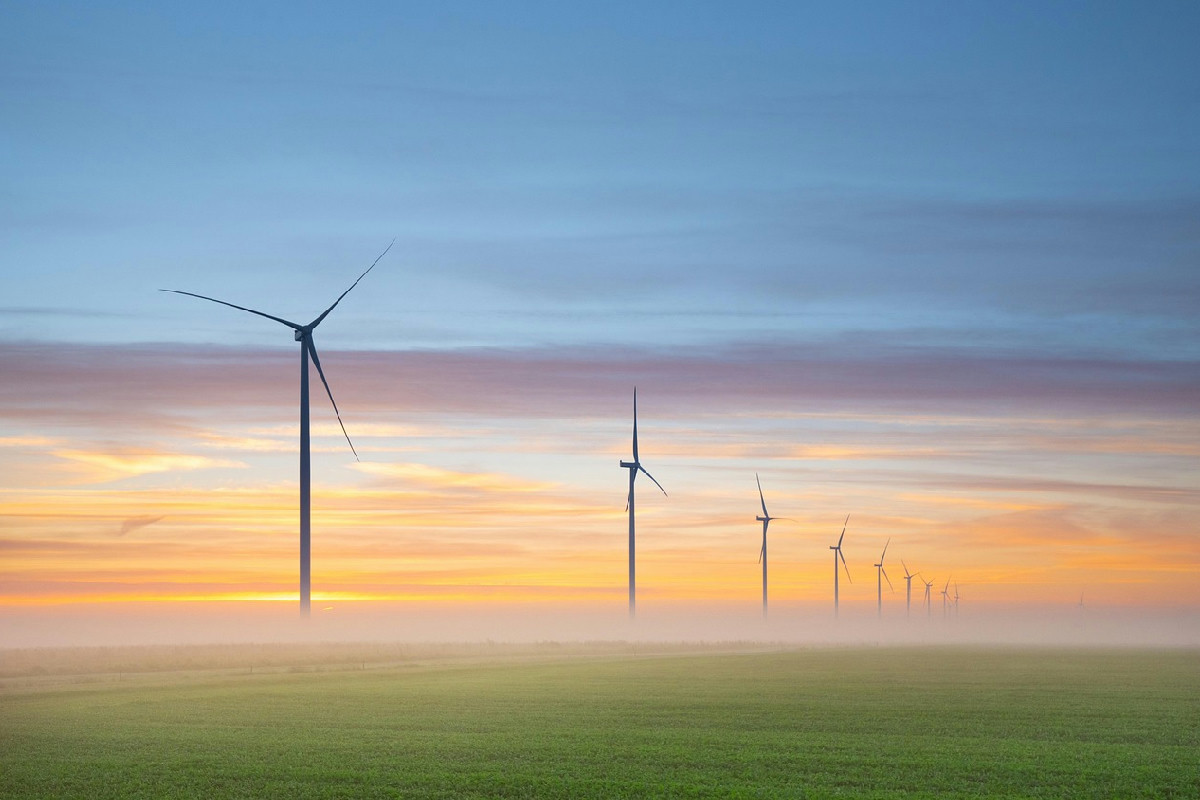 Vivere green si può: le scelte quotidiane che trasformano davvero l’ambiente e la società